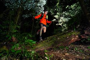 BIB: 
                            <button type="button" onclick="openModal(15973959)" class="btn btn-primary btn-sm float-right btn-popup" data-toggle="modal" data-target=".modal-high-quality">
                        <i class="fas fa-shopping-cart"></i> Add to Cart
                    </button>
                                            <button type="button" onclick="isThisMe(15973959, true)" class="btn btn-success btn-sm float-right btn-popup btn-isme hidden" data-toggle="tooltip" data-placement="bottom" title="นี่คือรูปของคุณใช่ไหม คลิกที่นี่เพื่อเอาเข้าอัลบั้ม">
                        <i class="fas fa-plus"></i> Add to album
                    </button>
                    <button type="button" onclick="isThisMe(15973959, false)" class="btn btn-warning btn-sm float-right btn-popup btn-isnotme hidden">
                        <i class="fas fa-ban"></i> Remove from album
                    </button>